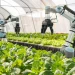 How robots are lending a hand in shaping the future of farming. www.theexchange.africa