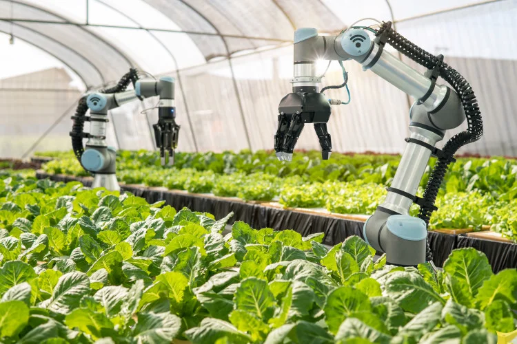 How robots are lending a hand in shaping the future of farming. www.theexchange.africa
