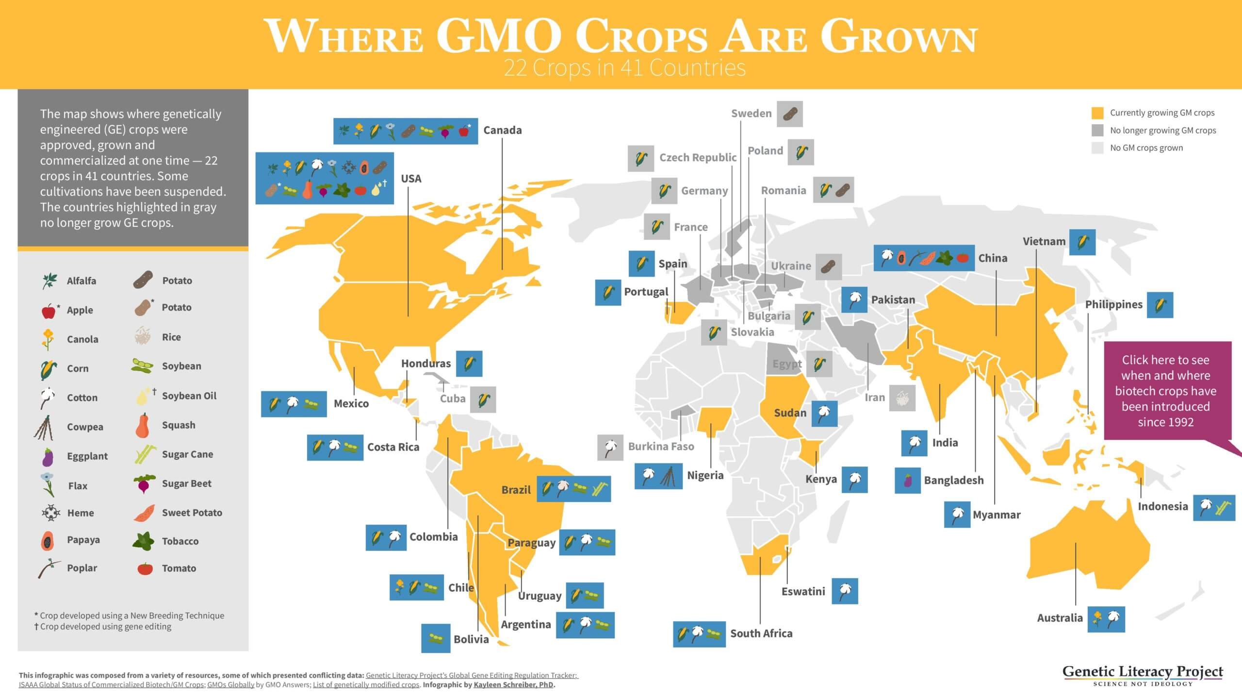 A map showing where genetically engineered crops are approved, grown and commercialized. There are 22 crops in 41 countries but some cultivation has been suspended as highlighted in the grey areas. www.theexchange.africa