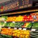 Organic fresh produce sales totalled US$9.22 billion last year, up 5.5 per cent from US$8.54 billion in 2020, when the market grew 14.2 per cent, according to the 2021 Organic Produce Performance Report. www.theexchange.africa