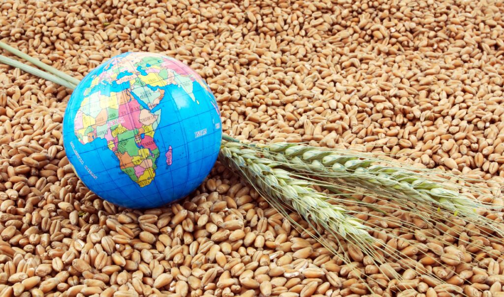 How capital can eliminate hunger