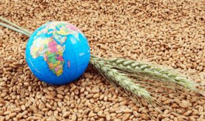 How capital can eliminate hunger in Africa How capital can eliminate hunger