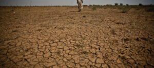 Africa wants US$1.3 trillion in climate financing www.theexchange.africa