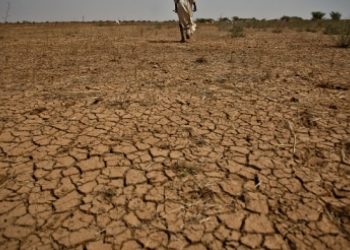 Africa wants US$1.3 trillion in climate financing www.theexchange.africa
