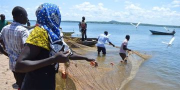 Fishermen in Lake Victoria. Photo: Nation Media Group