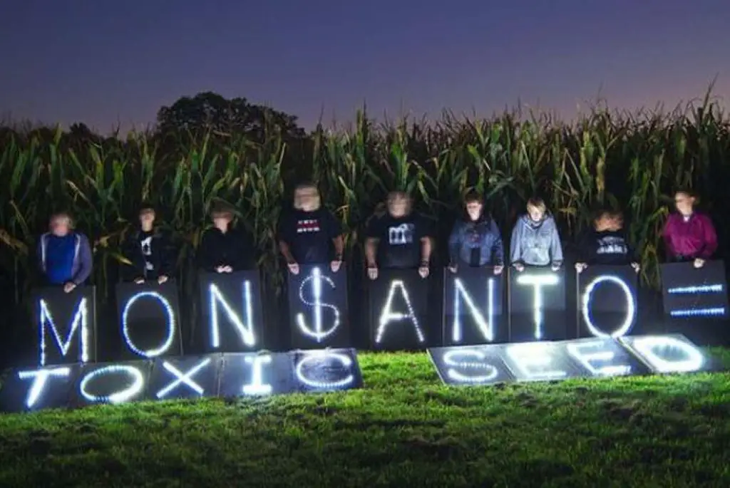 Activists raise concern over GM products as companies that produce the GMOs like Monsanto remain defendant that their products are safe for human consumption.