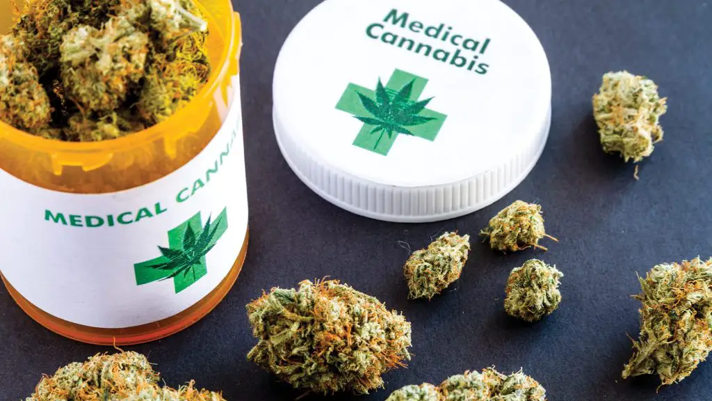 Africa is moving to legalize growing and export of medical marijuana as the global medical market value clocks USD 11.0 billion in 2021. Photo/FlagStone Medical Centre