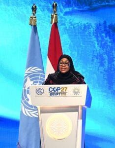 Tanzania President Samia Renewable Energy ambition