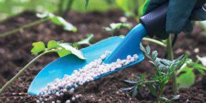 Africa becoming a global fertilizer production hub Fertilizer production in Africa is gaining momentum.