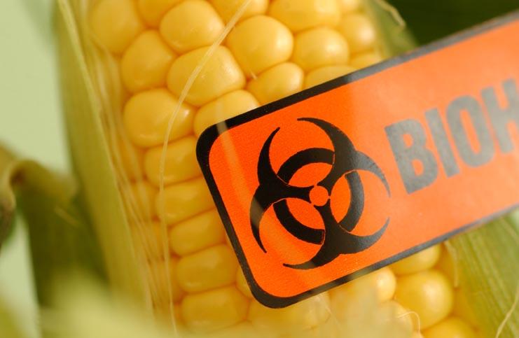 An illustration of the biohazard nature of GMO.