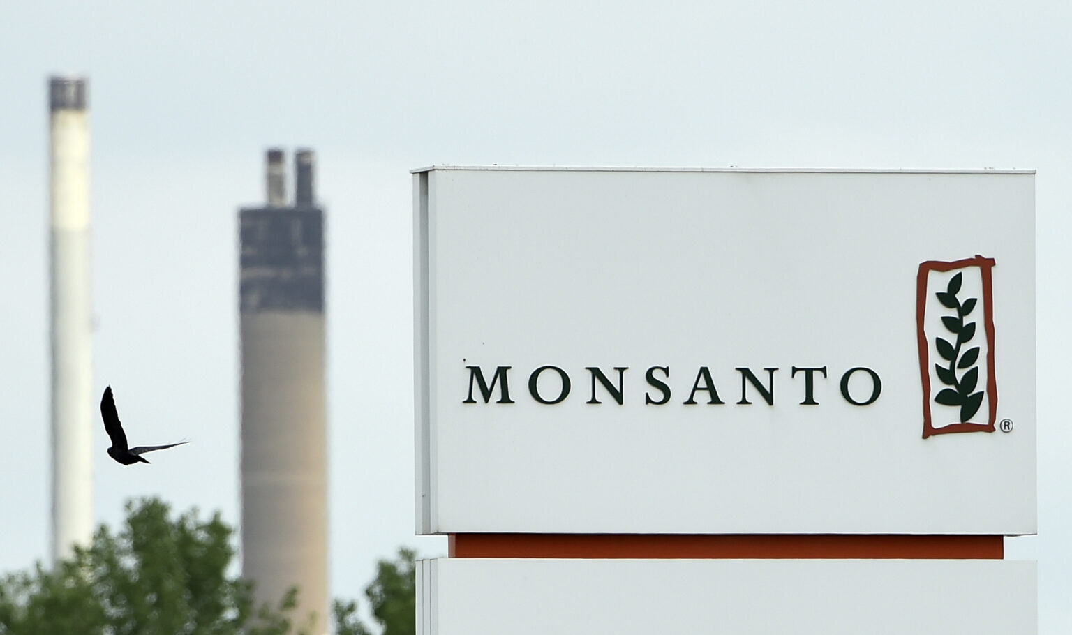 According to activists Greenpeace, Bayer, the company that bought Monsanto in South Africa is still distributing the weed killer, glyphosate which may cause cancer. Photo/NBC