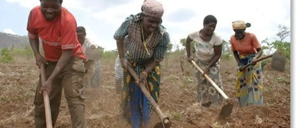 Four factors holding back Africa’s small-scale farmers. www.theexchange.africa