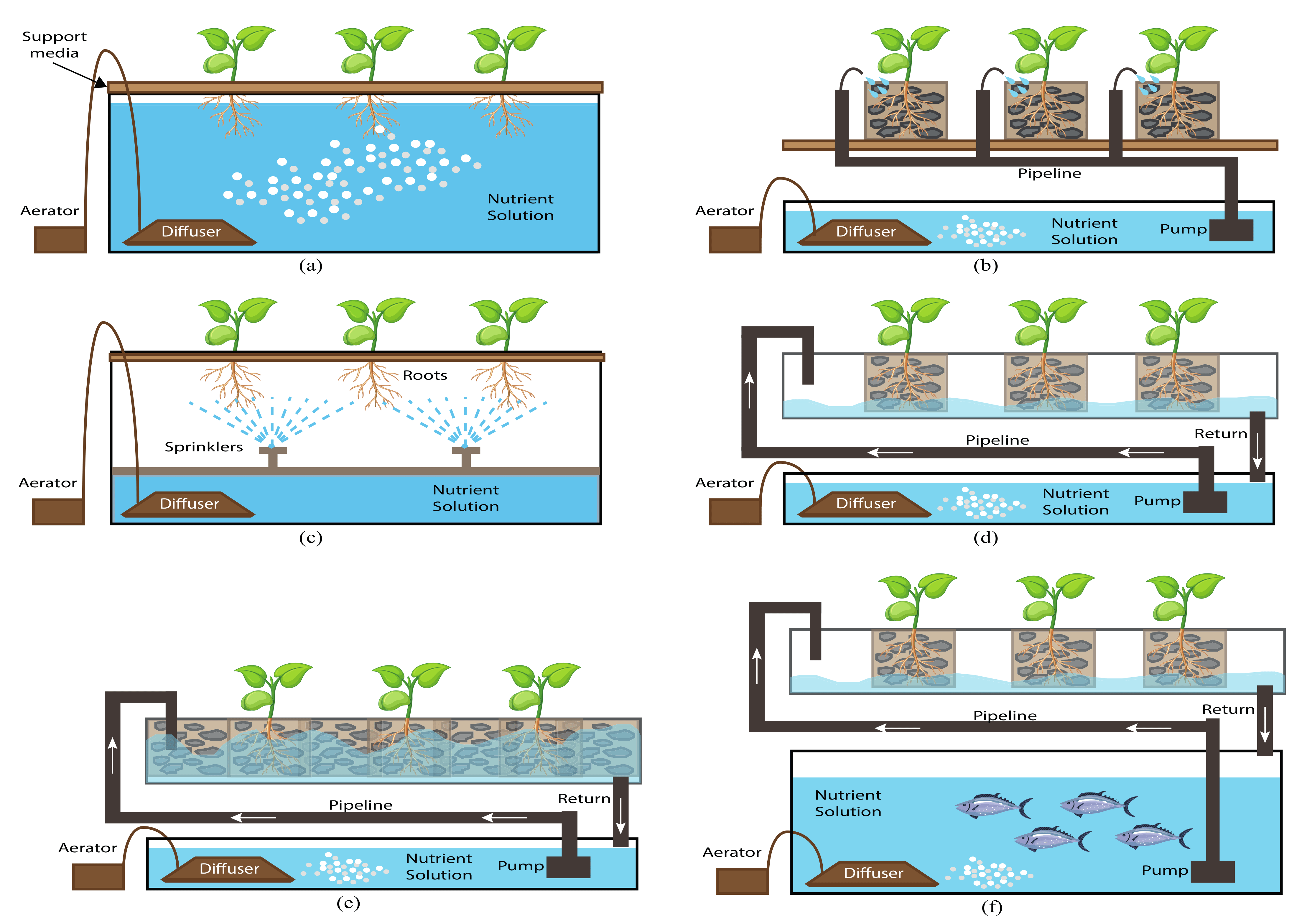 How hydroponics work. www.theexchange.africa