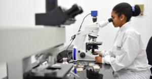 What Africa needs to stay ahead of the knowledge economy Knowledge-Economy