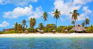 Ecotourism and Cultural Immersion in Jozani Forest National Park Area, Zanzibar. www.theexchange.africa