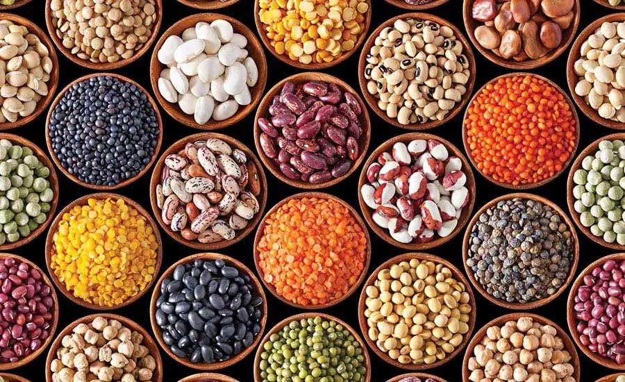 Pulses for Food Security in Tanzania. www.theexchange.africa