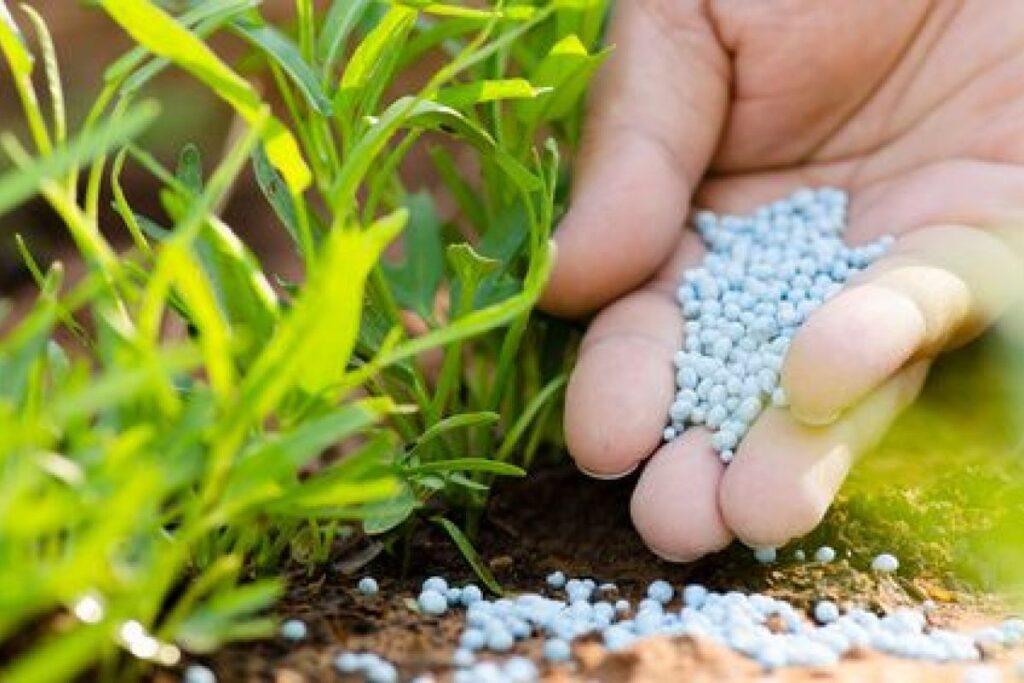 Tanzania and Morocco To finalize deal on a fertilizer facility