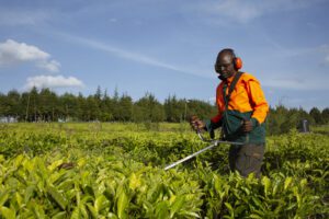 STIHL East Africa bets on Agriculture Mechanization for Growth FML6952