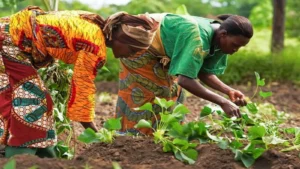 Microsoft partners with OCP Africa to boost Africa’s Agritech Industry Microsoft&OCP-Africa
