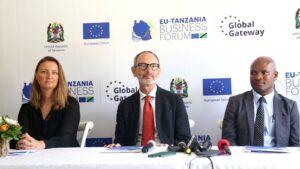 European Union Investment in Tanzania