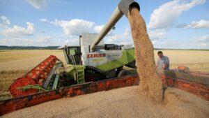 Ukranian grains