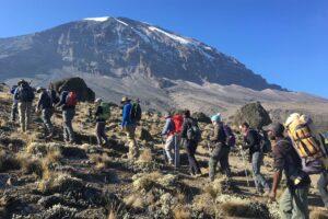 Tanzania setting sights on becoming Africa’s top tourist destination Kilimanjaro Mountain ; Serengeti National Park ; Mikumi National Park ; Trip Advisor ; The Royal Tour