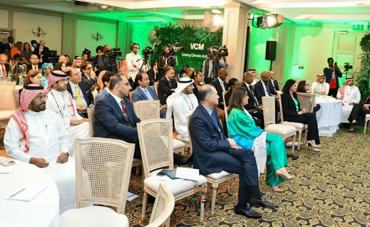Africa's carbon credit market 2 Carbon credits snapped up at a Nairobi auction by Saudi companies