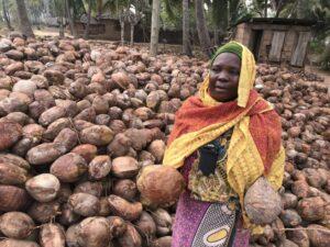 Africa missing out on the multi-million dollar global coconut industry Global coconut industry