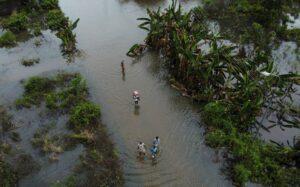 Climate change, conflict exacerbating Nigeria’s food crisis floods