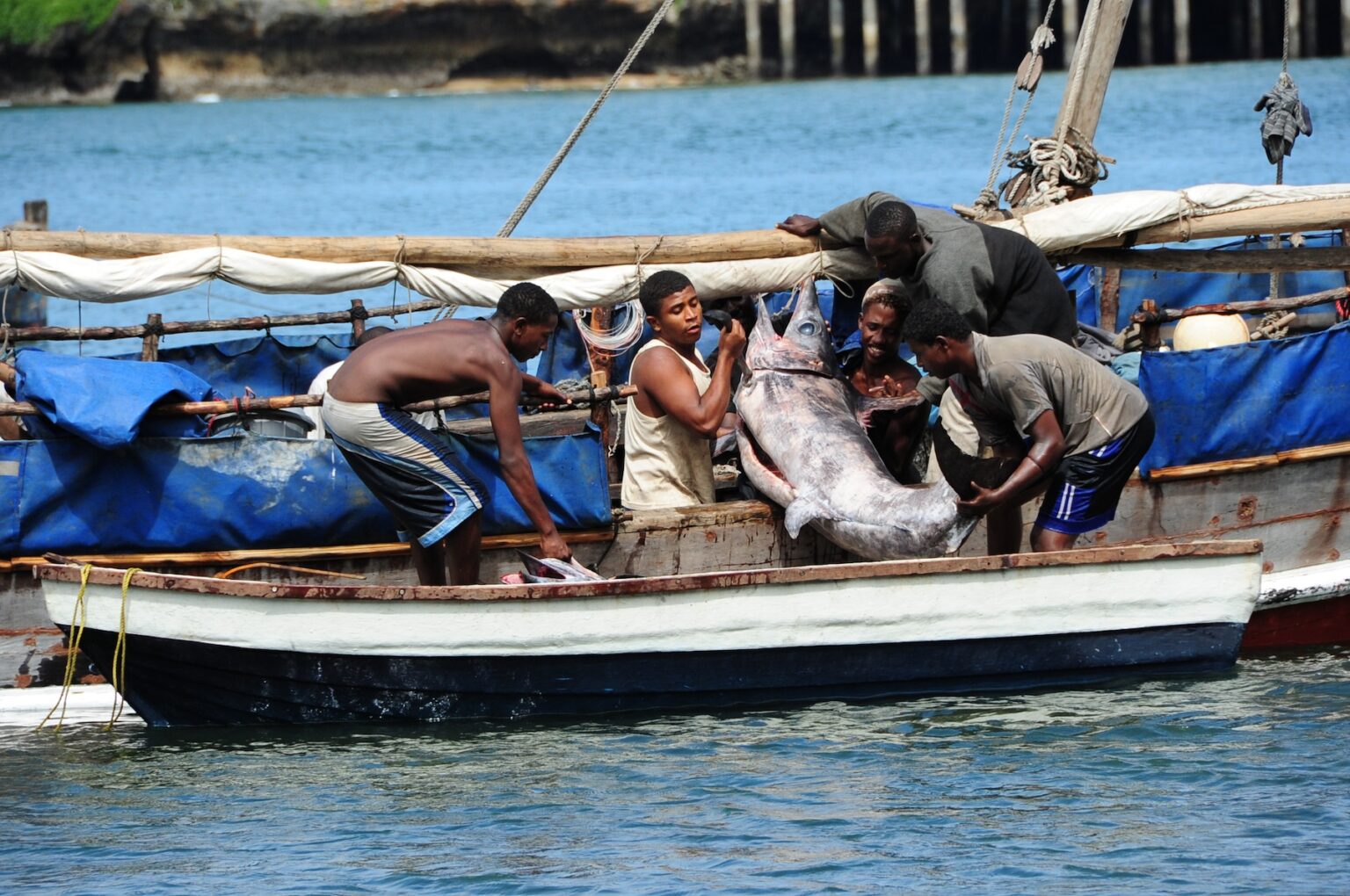 Lake Victoria Lake Tanganyika Indian Ocean Fish Market in Dar es Salaam