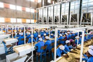 tanzania youth employment