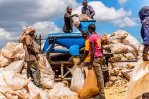 Collapse of Black Sea Grain Initiative threatens Africa’s food security food security 1