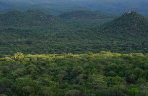 How Tanzania banks on billion carbon trading projects Carbon market Carbon trading Carbon trading in Tanzania Climate change