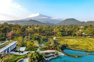 Rethinking Africa’s hospitality industry Africa's hospitality industry