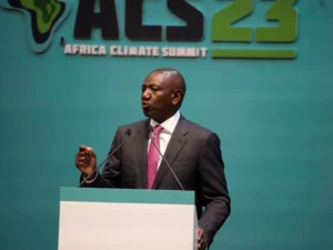 Kenya's role in an African climate change approach