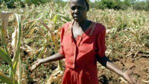 Rising Temps, Falling Crops: Africa’s Ongoing Climate Change Challenge Africa Climate Summit