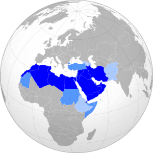 Impact of economic shocks on MENA’s growth and resilience MENA