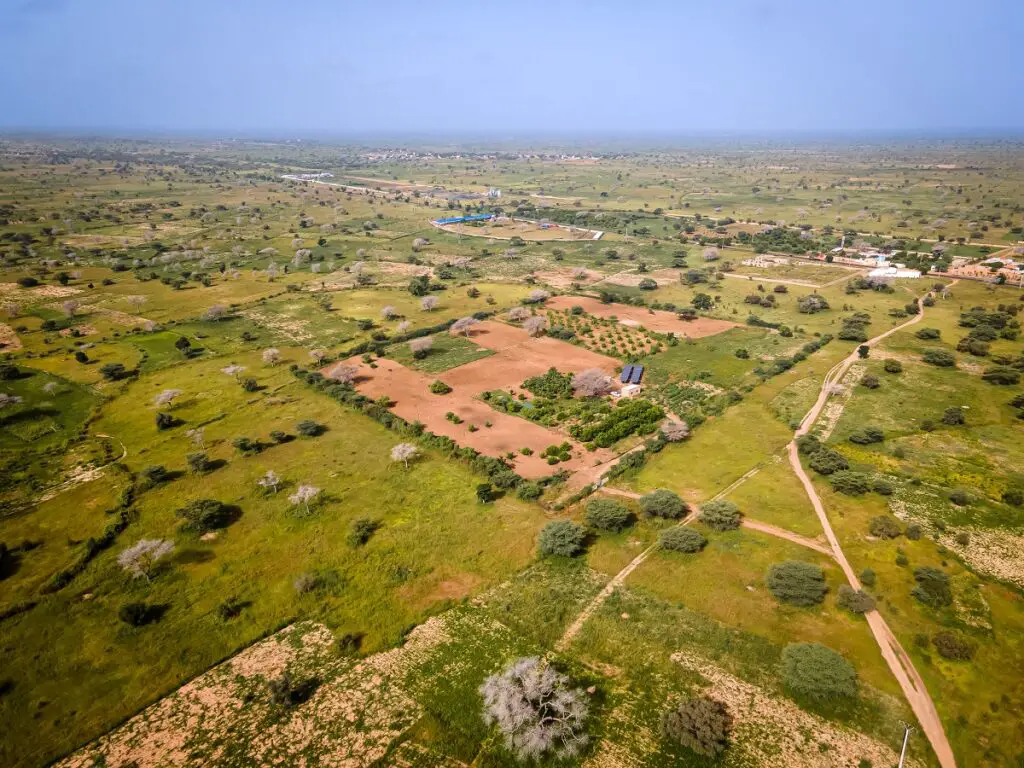 agribusiness Senegal