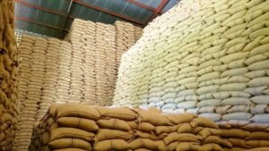 Why Kenya and Tanzania are banning grain imports grain imports