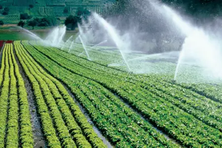 irrigation tanzania food security