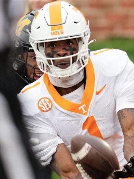 Injured Tennessee WR Dont'e Thornton on TD catch against Missouri