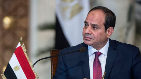President El-Sisi | Egypt