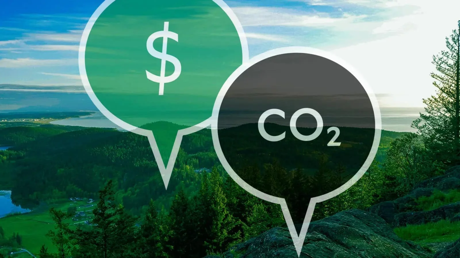 carbon credit trade | carbon pricing 
