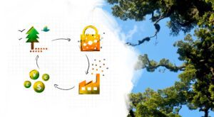 Credible carbon credits trading crucial for Africa’s energy transition carbon credit trade