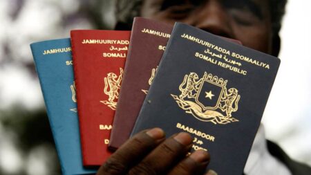 African passports | Henley Passport Index