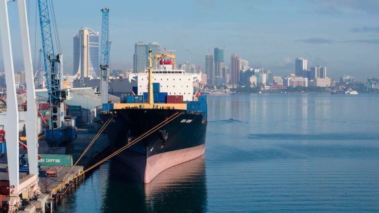 Tanzania oil import offer Uganda can't refuse, ship docked at Dar Port