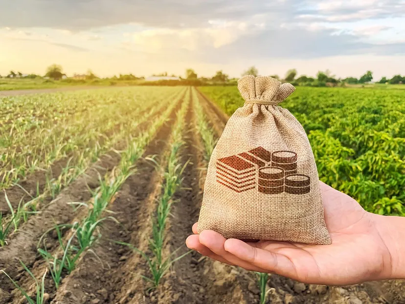 Insurance in Agricultural value chain