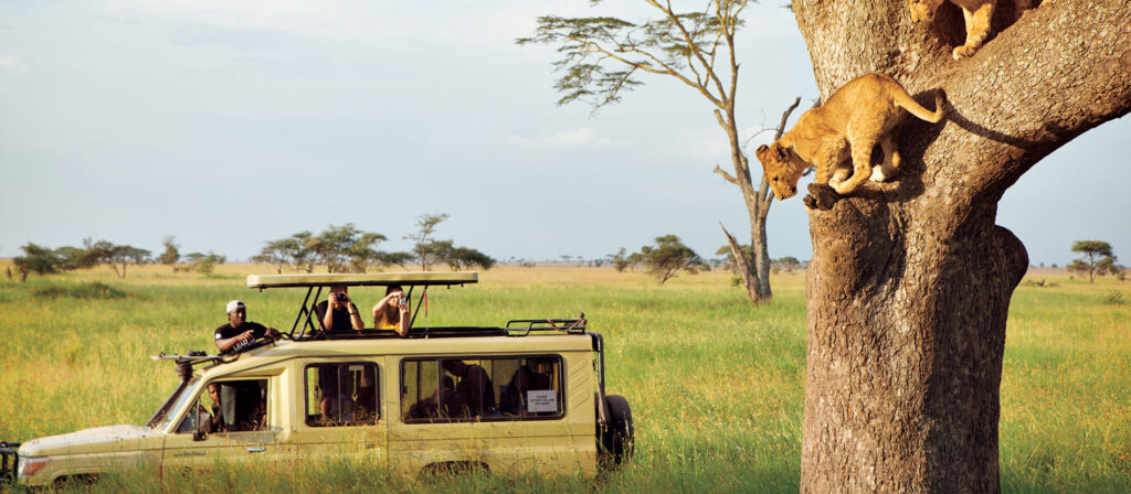 Tanzania's tourism