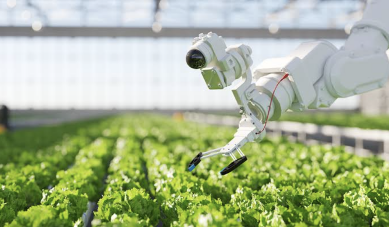 AI in Agriculture