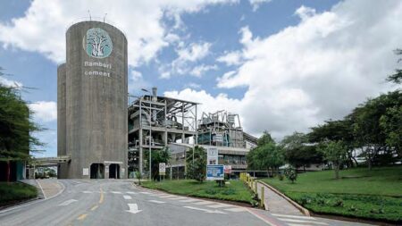 Savannah Clinker Limited Bamburi Cement takeover